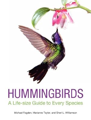 Seller image for Hummingbirds: A Life-size Guide to Every Species by Fogden, Michael, Taylor, Marianne, Williamson, Sheri L. [Hardcover ] for sale by booksXpress