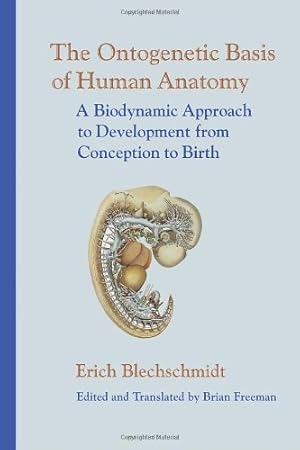 Seller image for The Ontogenetic Basis of Human Anatomy: A Biodynamic Approach to Development from Conception to Birth by Blechschmidt M.D., Erich [Hardcover ] for sale by booksXpress