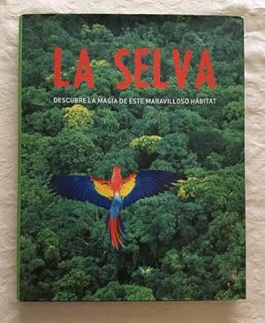 La selva. Descubre la magia de este maravilloso hábitat