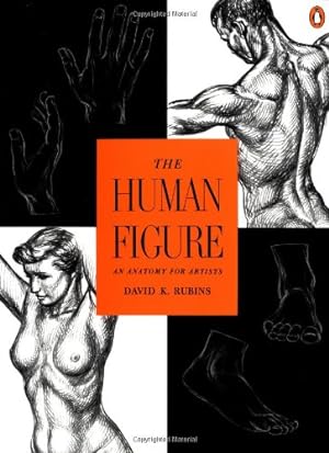 Seller image for The Human Figure: An Anatomy for Artists by Rubins, David K. [Paperback ] for sale by booksXpress