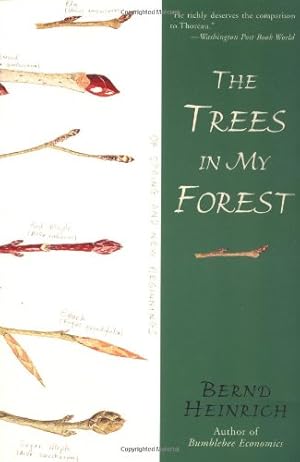 Seller image for The Trees in My Forest by Heinrich, Bernd [Paperback ] for sale by booksXpress