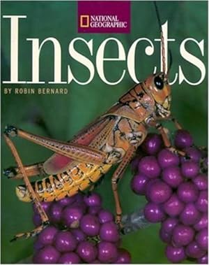 Immagine del venditore per Insects by Robin Bernard [Paperback ] venduto da booksXpress
