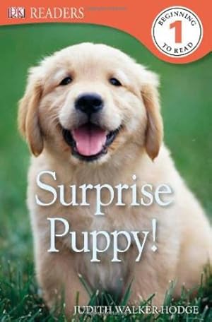 Imagen del vendedor de DK Readers L1: Surprise Puppy by Walker-Hodge, Judith [Paperback ] a la venta por booksXpress