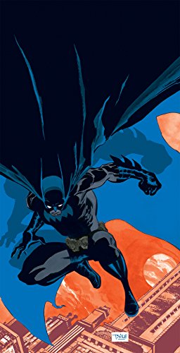 Imagen del vendedor de Batman: Haunted Knight (New Edition) by Loeb, Jeph [Paperback ] a la venta por booksXpress
