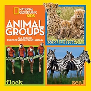 Seller image for Animal Groups by Esbaum, Jill [Hardcover ] for sale by booksXpress