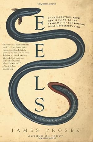 Seller image for Eels: An Exploration, from New Zealand to the Sargasso, of the World's Most Mysterious Fish by Prosek, James [Paperback ] for sale by booksXpress