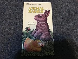 Animal Babies