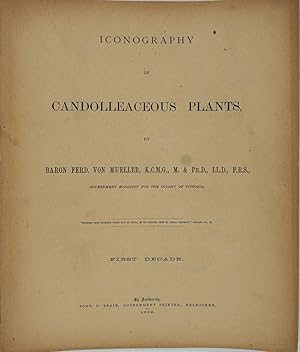 Iconography of Candolleaceous Plants (First Decade)