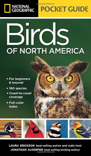 Seller image for National Geographic Pocket Guide to the Birds of North America by Erickson, Laura, Alderfer, Jonathan [Paperback ] for sale by booksXpress