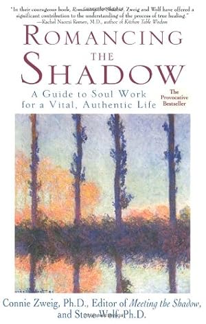 Bild des Verkufers fr Romancing the Shadow: A Guide to Soul Work for a Vital, Authentic Life by Zweig, Connie, Wolf, Steven [Paperback ] zum Verkauf von booksXpress
