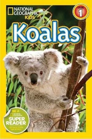 Seller image for National Geographic Readers: Koalas by Marsh, Laura [Paperback ] for sale by booksXpress