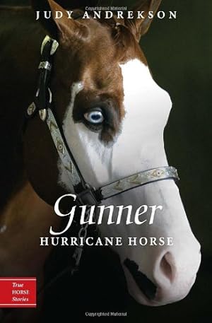 Imagen del vendedor de Gunner: Hurricane Horse (True Horse Stories) by Andrekson, Judy [Paperback ] a la venta por booksXpress