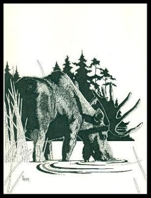 Seller image for MOOSE for sale by W. Fraser Sandercombe