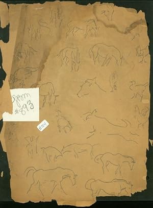 Sheet Of Animal Sketches