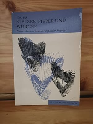 Stelzen, Pieper und Würger - Kennzeichen und Mauser europäischer Singvögel