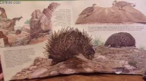 Bild des Verkufers fr Les tonnants animaux d'Australie (Livre anim Pop-up  systme) zum Verkauf von Le-Livre
