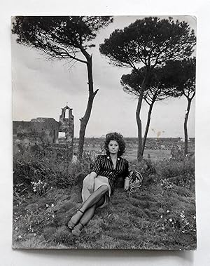 Sofia Loren Stampa foto. vintage Pierluigi Praturlon Matrimonio all'italiana '64
