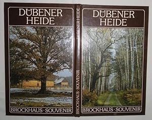 Bild des Verkufers fr Brockhaus Souvenir: Dbener Heide zum Verkauf von Versandhandel fr Sammler