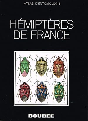 Atlas des hémiptères : Généralités, hétéroptères, homoptères, thysanoptères.