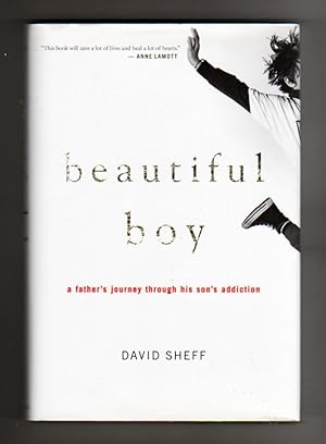 Beautiful boy. A Father's Journey Through His Son's Addiction