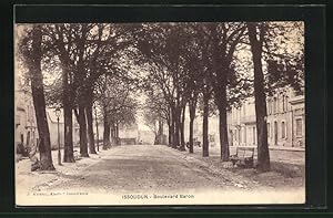 Carte postale Issoudun, Vue dans le Boulevard Baron