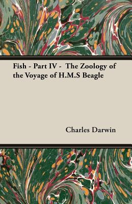 Imagen del vendedor de Fish - Part IV - The Zoology of the Voyage of H.M.S Beagle (Paperback or Softback) a la venta por BargainBookStores