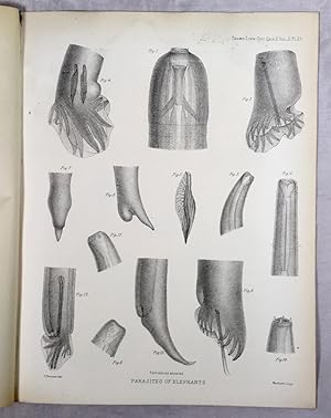 The Parasites of Elephants (Linnean Society, 1883)