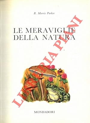 Meraviglie della natura.