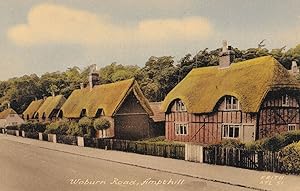 Woburn Road Ampthill Bedfordshire 1960s Postcard