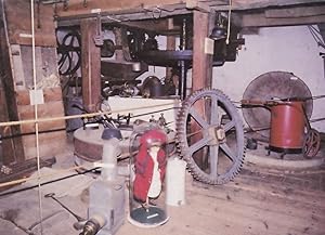 Hornsbury Mill Chard Somerset Toy Doll in Glass Case Postcard