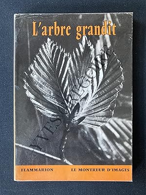 Seller image for L'ARBRE GRANDIT for sale by Yves Grgoire