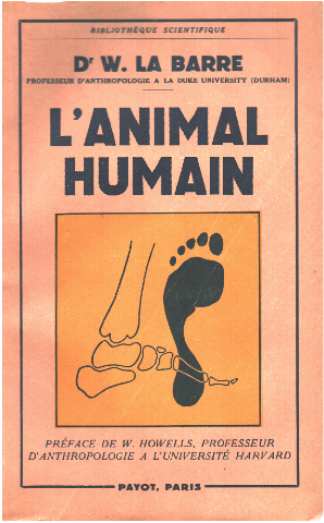 L'animal humain