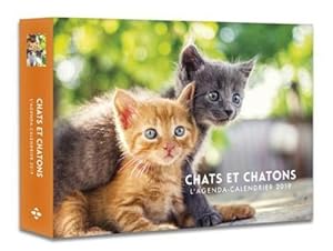 l'agenda-calendrier chats & chatons 2019 (édition 2019)