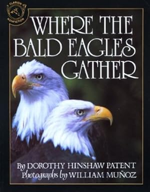 Imagen del vendedor de Where the Bald Eagles Gather (Paperback) a la venta por InventoryMasters