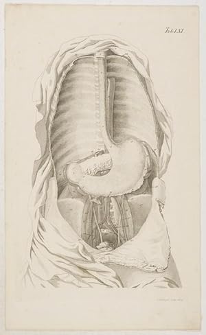 Bild des Verkufers fr Anatomische Tafeln: zum Verkauf von Antiq. F.-D. Shn - Medicusbooks.Com