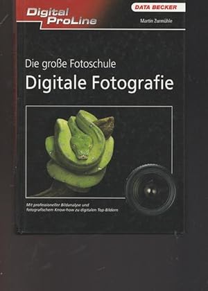 Bild des Verkufers fr DATA Beckers groe digitale Fotoschule. Digital Proline. Mit professioneller Bildanalyse und fotografischen Know-how zu digitalen Top-Bildern. zum Verkauf von Ant. Abrechnungs- und Forstservice ISHGW