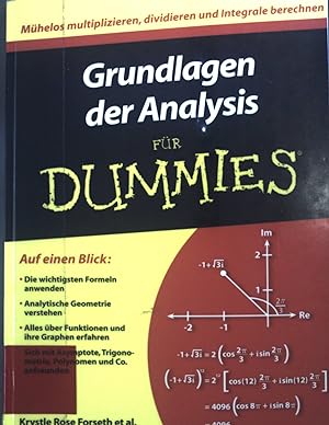 Bild des Verkufers fr Grundlagen der Analysis fr Dummies. zum Verkauf von books4less (Versandantiquariat Petra Gros GmbH & Co. KG)