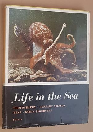 Bild des Verkufers fr Life in the Sea zum Verkauf von Nigel Smith Books