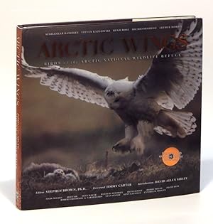 Arctic Wings (With CD)