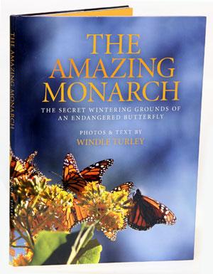 Bild des Verkufers fr The amazing Monarch: the secret wintering grounds of an endangered butterfly. zum Verkauf von Andrew Isles Natural History Books