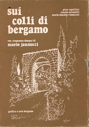 Imagen del vendedor de Sui colli di Bergamo a la venta por Di Mano in Mano Soc. Coop