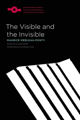 Imagen del vendedor de The Visible and the Invisible (Paperback or Softback) a la venta por BargainBookStores