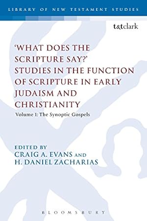 Seller image for What Does the Scripture Say?' Studies in the Function of Scripture in Early Judaism and Christianity, Volume 1: Volume 1: The Synoptic Gospels (The Library of New Testament Studies) [Paperback ] for sale by booksXpress