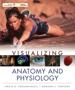 Seller image for Visualizing Anatomy and Physiology by Freudenrich, Craig, Tortora, Gerard J. [Paperback ] for sale by booksXpress