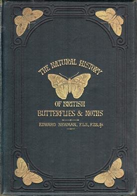 Seller image for The Illustrated Natural History of British Butterflies and Moths. The figures drawn by George Willis and engraved by John Kirchner. for sale by Berkelouw Rare Books