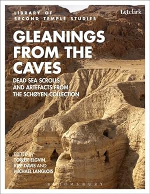 Imagen del vendedor de Gleanings from the Caves: Dead Sea Scrolls and Artefacts from the Schøyen Collection (The Library of Second Temple Studies) [Paperback ] a la venta por booksXpress