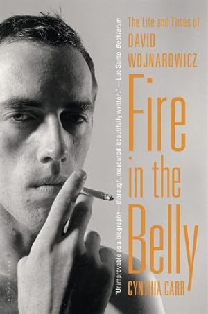 Seller image for Fire in the Belly: The Life and Times of David Wojnarowicz by Carr, Cynthia [Paperback ] for sale by booksXpress