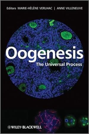 Seller image for Oogenesis: The Universal Process by Verlhac, Marie-Helene, Villeneuve, Anne [Hardcover ] for sale by booksXpress