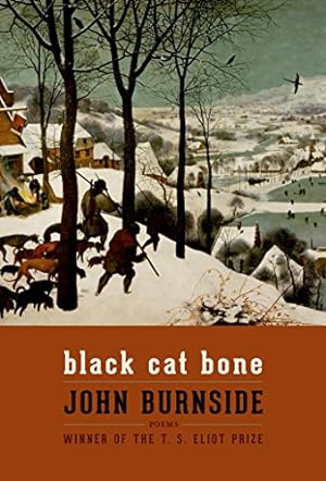 Immagine del venditore per Black Cat Bone: Poems by Burnside, John [Paperback ] venduto da booksXpress