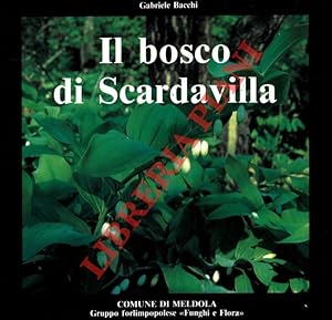 Il bosco di Scardavilla.